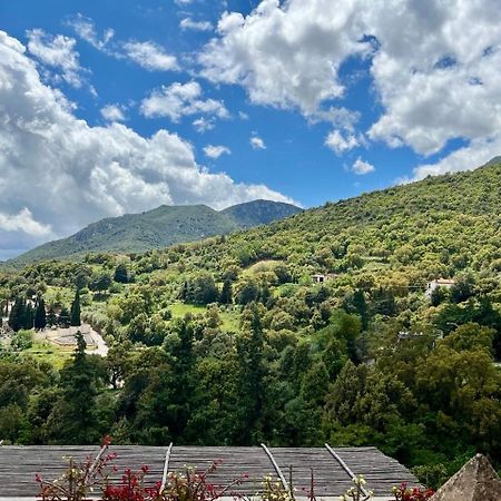 B&B Su Biancu - Sardinian Experience Urzulei Exterior foto